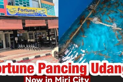 89 kolam pancing udang