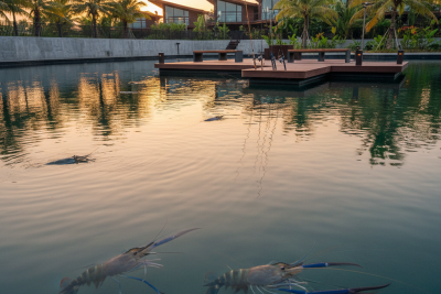 ai image 169 1766956964