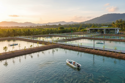 ai image 974 1766961932