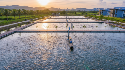 ai image 994 1766961802