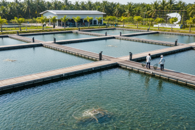 ai image 998 1766961623