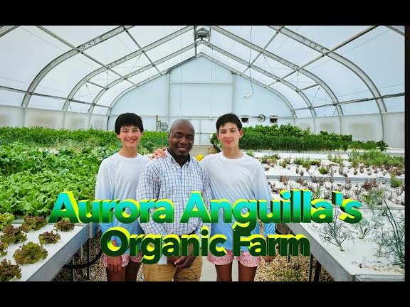 Aurora Leisure Farm 1 aurora leisure farm