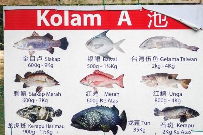 damai fishing village