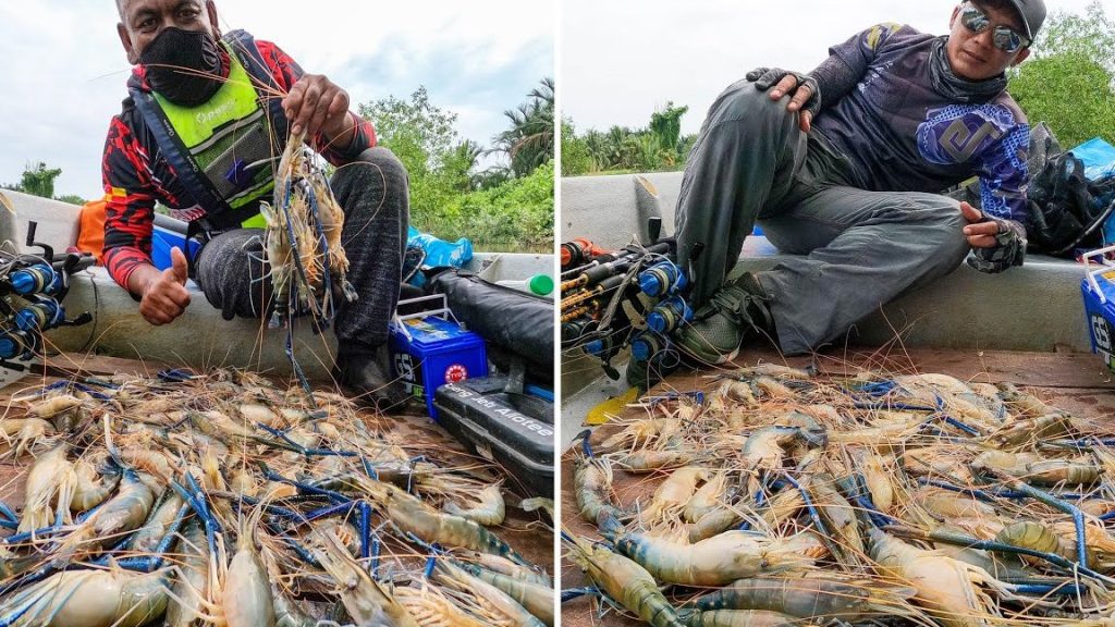 DIN PANCING UDANG GALAH 1 din pancing udang galah
