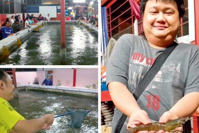 dombak kolam pancing udang galah