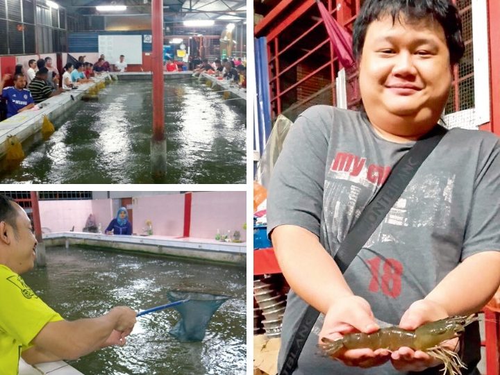 D’ombak kolam pancing udang galah 1 dombak kolam pancing udang galah