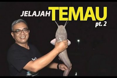 dseberang kolam patin