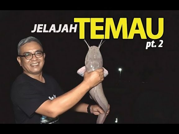 D'Seberang Kolam Patin 1 dseberang kolam patin