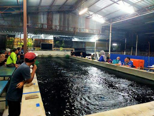 KOLAM PANCING UDANG GALAH MUTIARA
