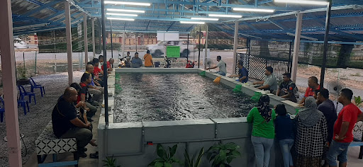 Kolam Udang Galah NSK Simpang Kuala