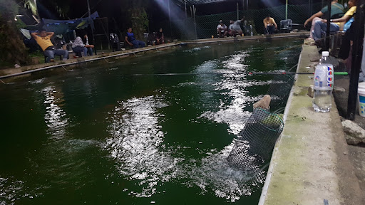 Kolam Pancing Udang Galah Batu 8