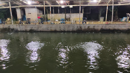 Kolam Memancing Udang Galah Kg Kerawang