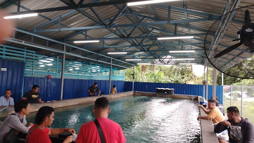 KOLAM MEMANCING UDANG GALAH 6899 PENGKALAN CHEPA