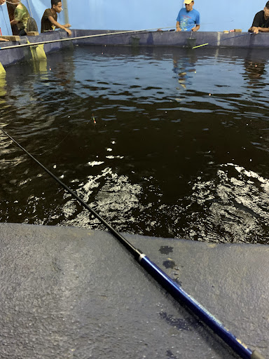 Kolam Pancing Udang Galah Penambang
