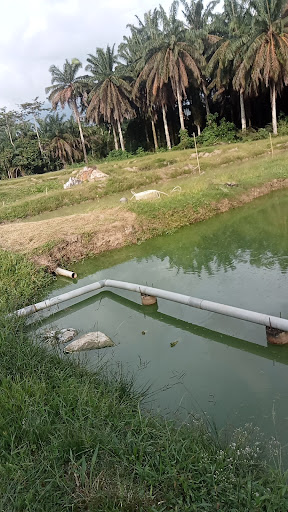 kolam Pancing Lepan Jaya