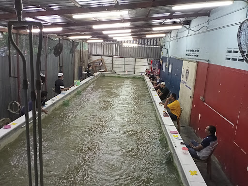 Kolam Memancing Udang King Kluang