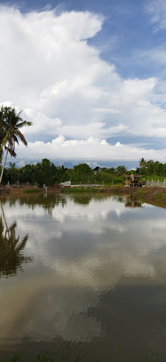 Kolam pancing acol dipanglima