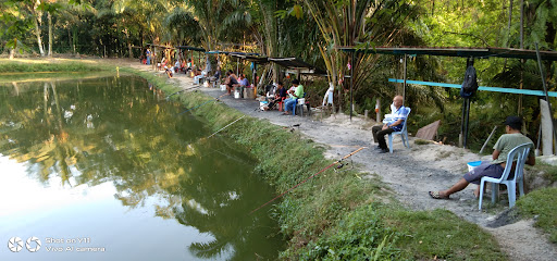 Kolam pancing peringkat