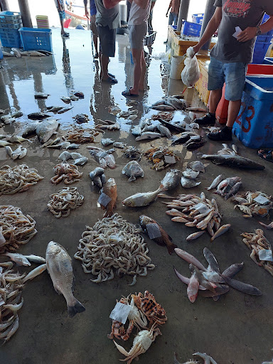 Seng Giap Sungai Udang Port