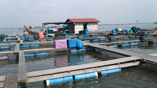 Sungai Udang SPS