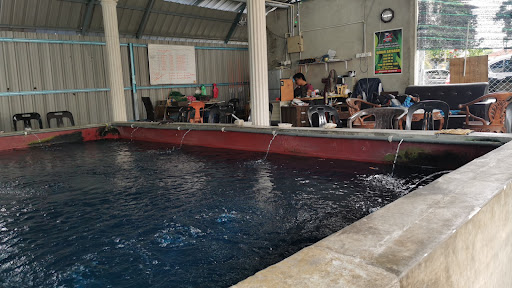 Kolam Pancing Udang Galah Rizqeen, Bagan