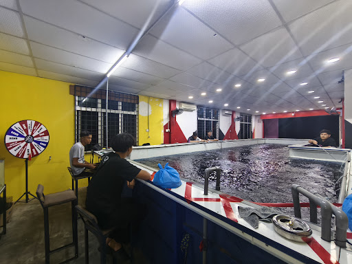 KOLAM PANCING UDANG GALAH KAMPAR