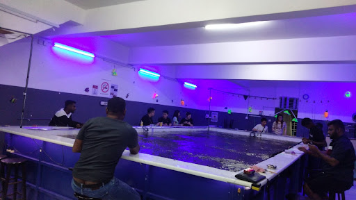 GoGo Luck Kolam Memancing & Kafe 钓虾场