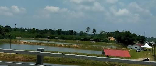 Kolam Pancing Tok Kg Gajah