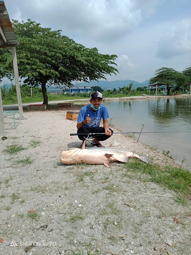 Kolam Pancing Papan Baru