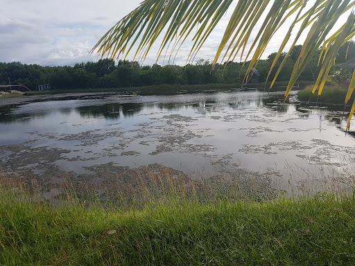 KOLAM PANCING AIR MASIN, ANAK MOMOGUN RESORT KUDAT.