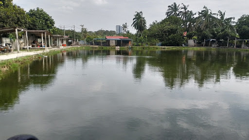Kolam Pancing Sungai Tangkas