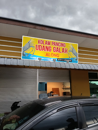 Kolam Pancing Udang Galah (Along)