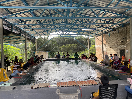 KOLAM PANCING UDANG GALAH CHENEH JENGGO