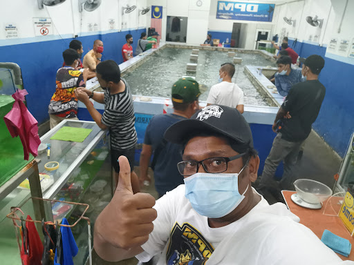 Kolam Udang Harimau DPM