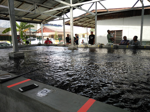 Kolam Pancing Udang Galah kg subang