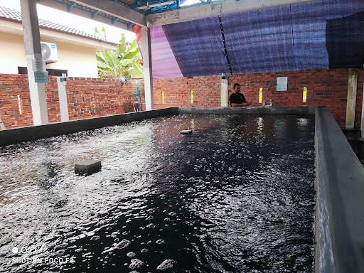 Kolam Pancing Udang Harimau 99 Jalan Aman