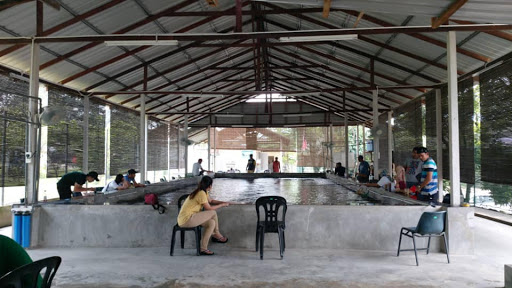 Kolam Pancing Udang RIINFA Hulu Langat