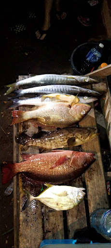 RAHMAN (JUAL UDANG HIDUP) UNTUK MEMANCING