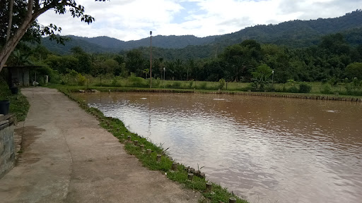 KOLAM FRIENDSHIP (KFS)