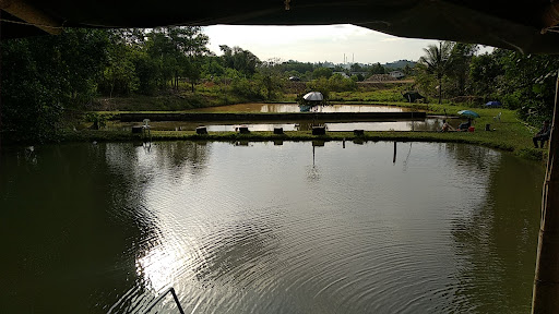 Kolam D'Suok