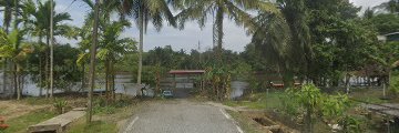 Spot udang