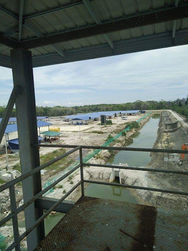 Tambak Udang Makmur Aqua Kultur Sdn Bhd