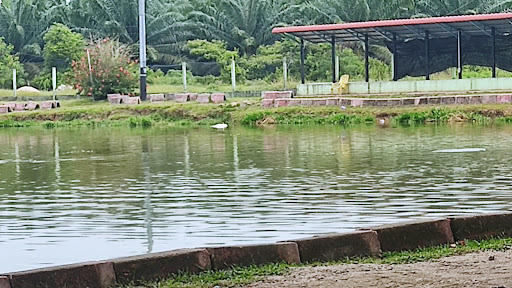 Mtg Fishing Park
