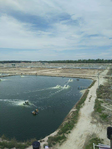 Tambak Udang Makmur Aqua Kultur Sdn Bhd