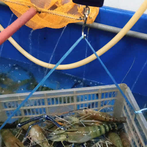 Kolam Pancing Udang Galah IM15