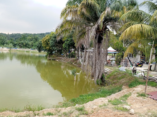 Kolam Pancing Mesra