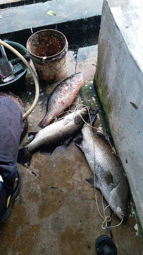 Kolam Memancing Batu 30 (AZ BT30 FISHING STATION)