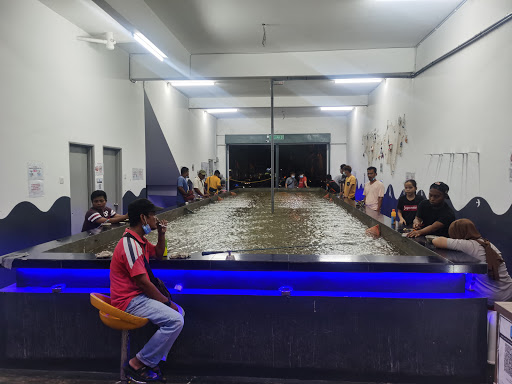 kolam memancing udang xy 蝦爺海水钓虾馆