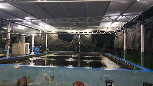 Kolam Pancing Udang Seri Sulong