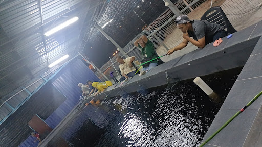 KOLAM PANCING UDANG GALAH GEETEES